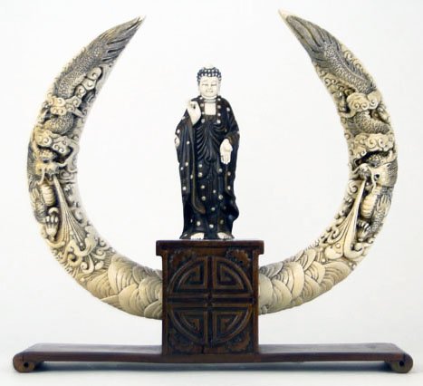 CARVED BOARS IVORY TUSK MOUNTED IN ROSEWOOD: CARVED BOARS IVORY TUSK MOUNTED IN ROSEWOOD Measures Approximately 17 Inches Tall by 17 3/4 Inches Wide Both Tusks Carved to Death in Dragon Motif Scrimshawed to Back Signed to Rosewood Holder Comes w