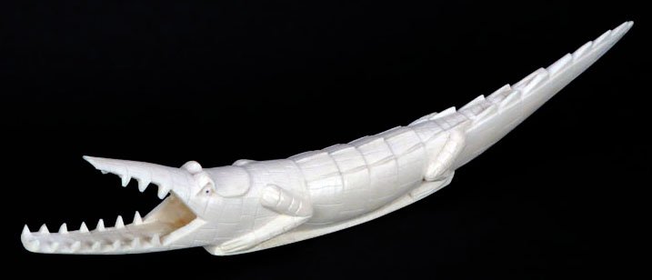 RARE ANTIQUE AFRICAN IVORY CROCODILE: RARE ANTIQUE AFRICAN IVORY CROCODILE Measures Approximately 19" Long. Please Note: Loss to Snout and Tail, Otherwise Good Condition WE WILL NOT SHIP THIS ITEM BUT CAN RECOMMEND A SHIPPER FOR YOU, PLEA
