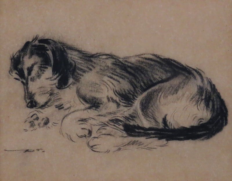 Crayon or Charcoal Drawing of a Dog. Unsigned. Toning: Crayon or Charcoal Drawing of a Dog. Unsigned. Toning to Paper or else Good Condition. Frame Measures 7 Inches by 8-3/4 Inches. Shipping $20.00