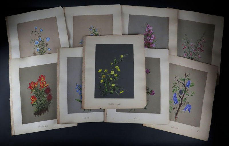 Collection of Ten (10) Hand Painted Botanicals on Heavy (1 of 1)