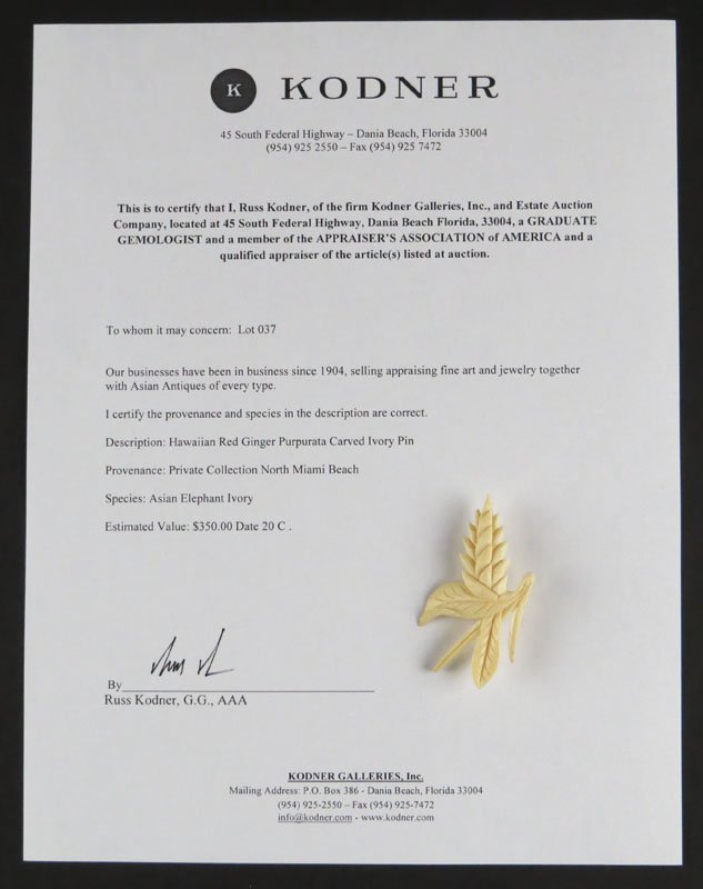 Hawaiian Red Ginger Alpinia Purpurata Carved Asian (1 of 1)