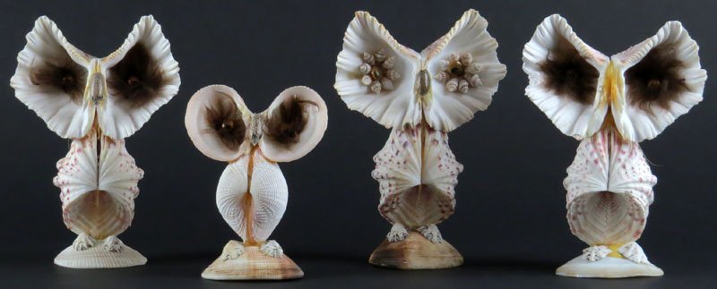 Four (4) Philippines Shell Owl Figures. Nose to One: Four (4) Philippines Shell Owl Figures. Nose to One Missing and Minor Chips to Shell Base on One or else Good Condition. Shipping $30.00