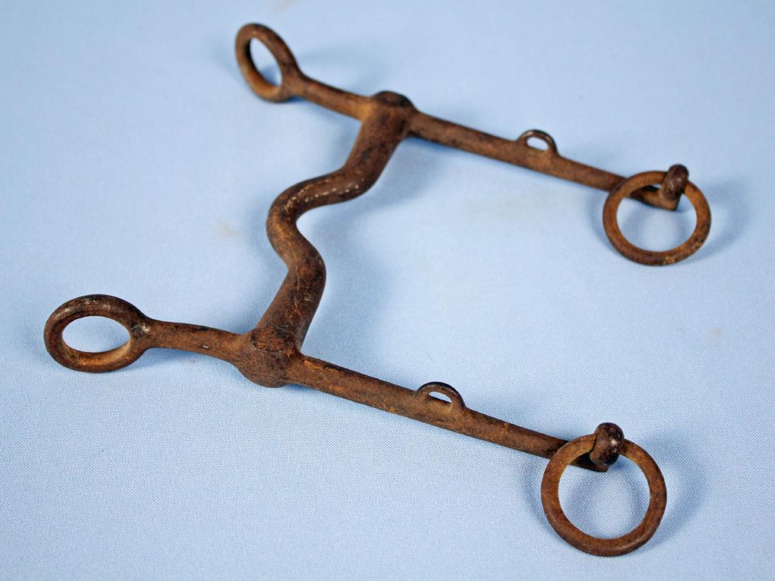 M1906 US Cavalry Curb Bit (1 of 3)