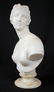 19 C. Italian Marble Bust of Venus De Milo - 4