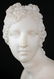 19 C. Italian Marble Bust of Venus De Milo - 5