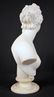 19 C. Italian Marble Bust of Venus De Milo - 7