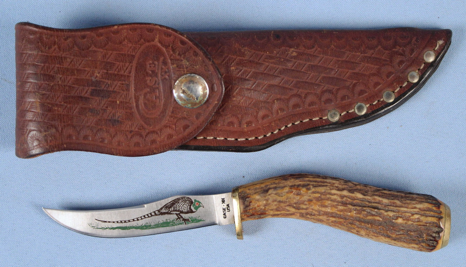 Case XX 523-3 SSP Stag Handled Pheasant Knife: Case XX 523-3 SSP Stag Handled Pheasant Hunter Knife with Sheath. The blade measures 3 1/4" Long and 7" overall. The sheath is marked Case. Condition - The knife is in good condition, sheath has some 