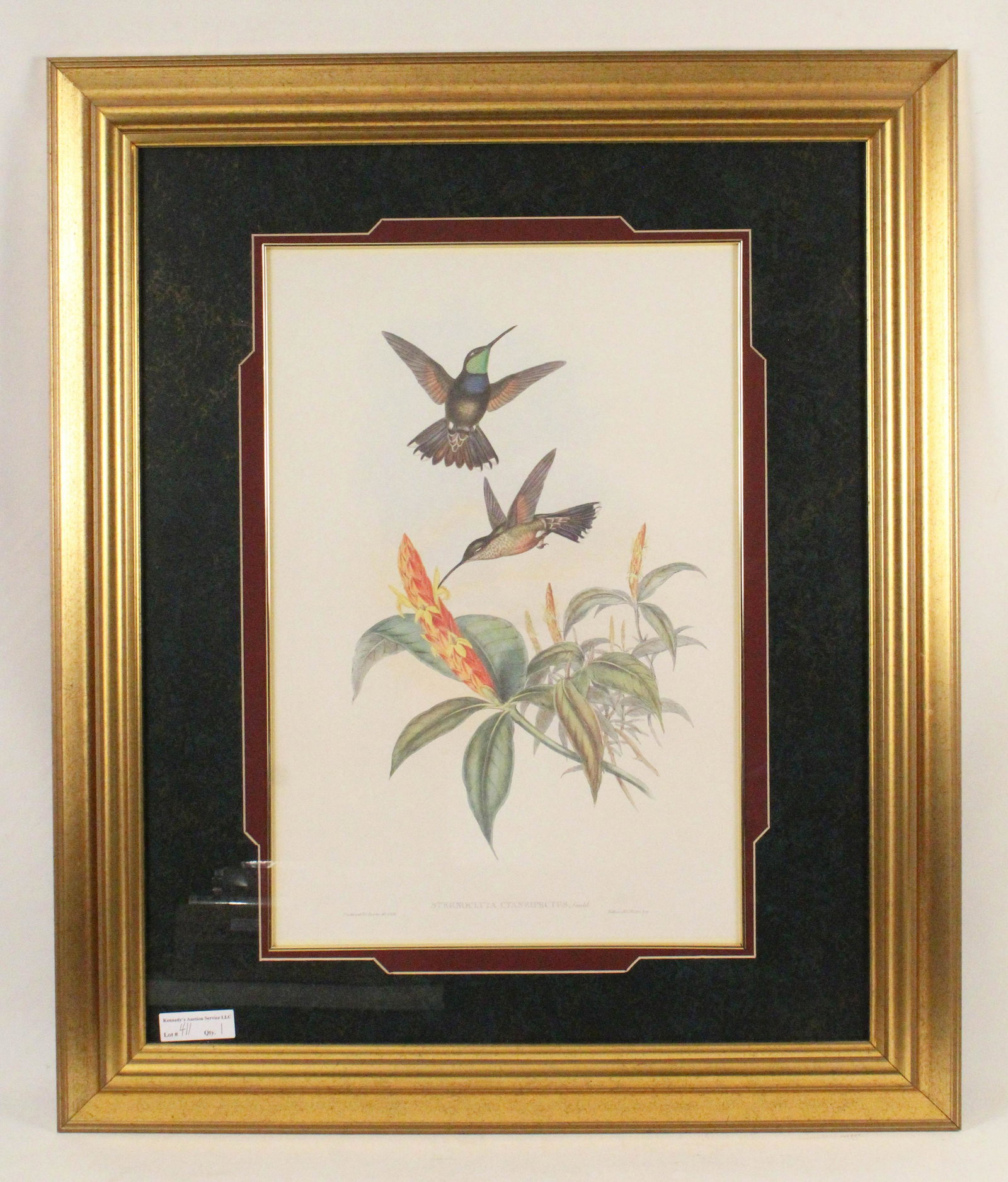 Reproduction J. Gould Humming Birds Framed Print (1 of 4)