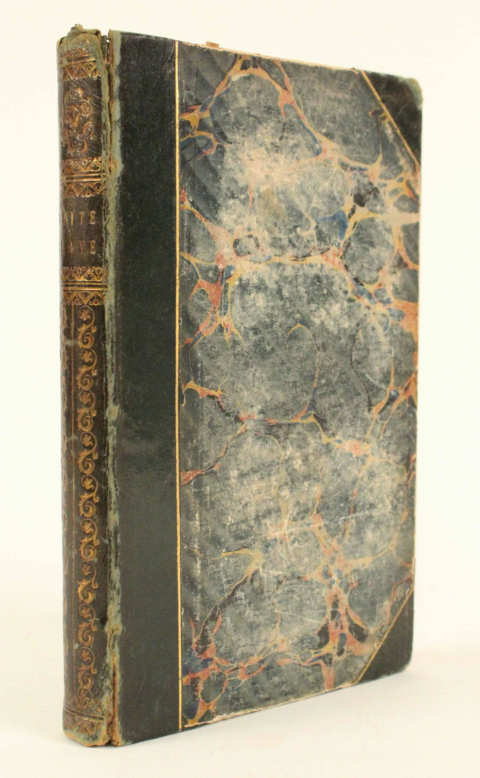 The White Slave or Negro Life In America Pub. 1852 (1 of 8)