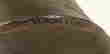 item-133885437=3