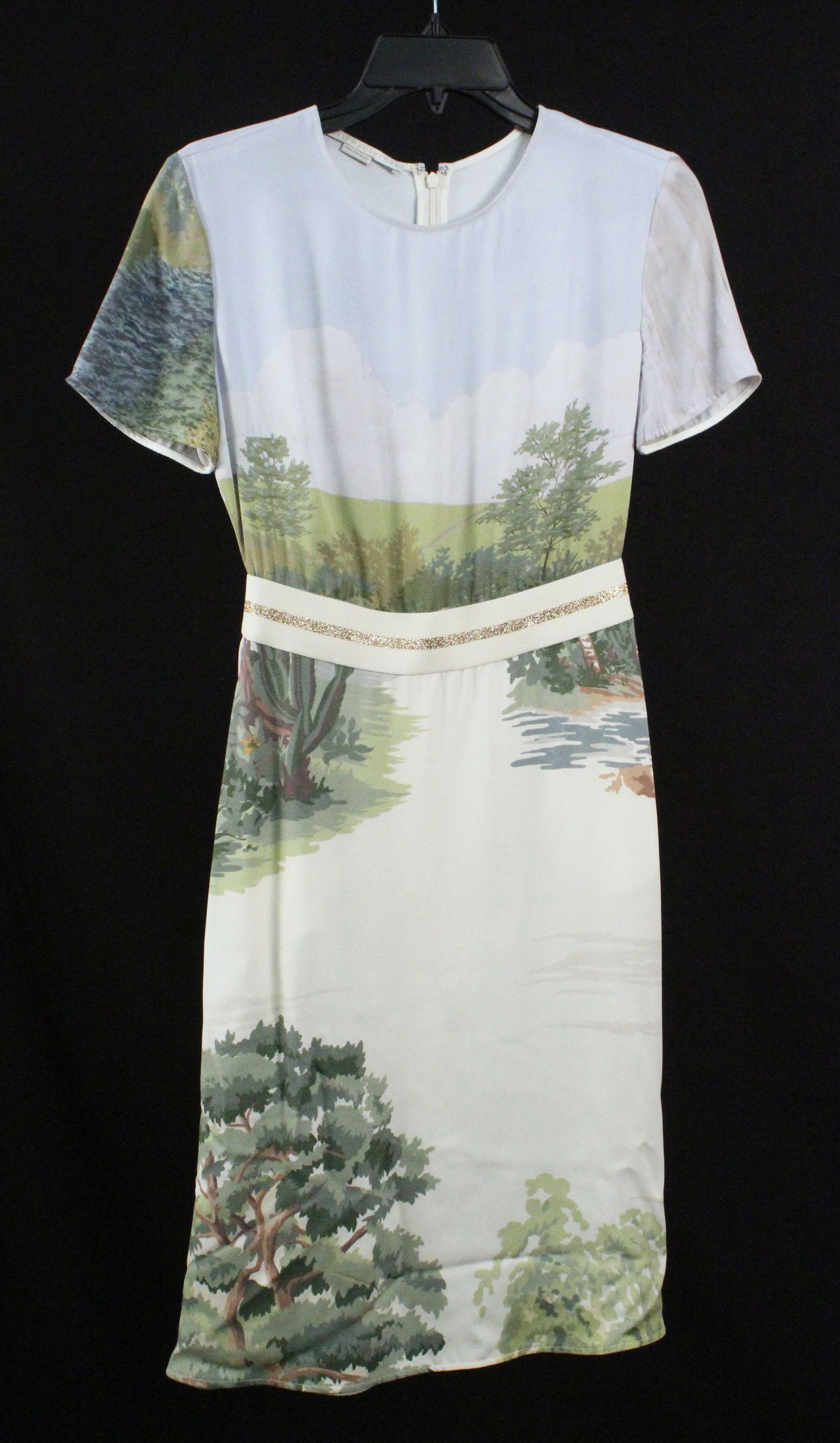 Stella McCartney Landscape Print Dress (1 of 5)