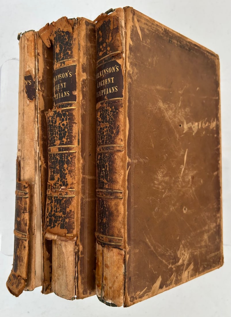 3 Vol Manners & Customs of the Ancient Egyptians (1 of 19)