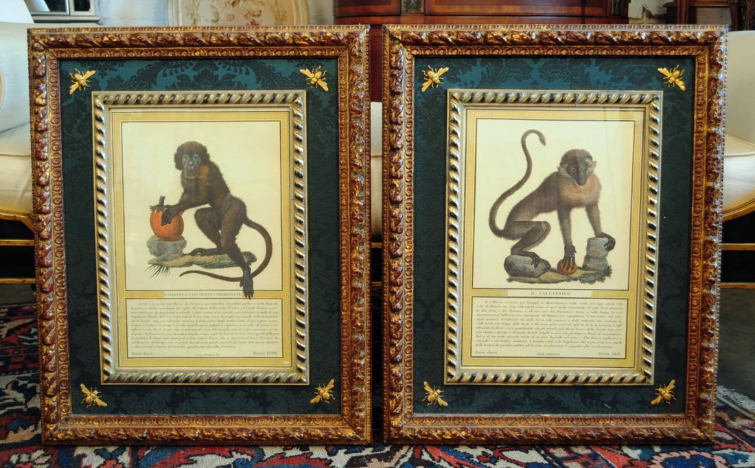 Pair of Double Framed French Monkey Prints: Pair of Double Framed Antique French Style Framed Monkey Prints. French Empire gold gilt bee corner decoration. Frame measures 21" X 27" overall. "NOT AN ANTIQUE"