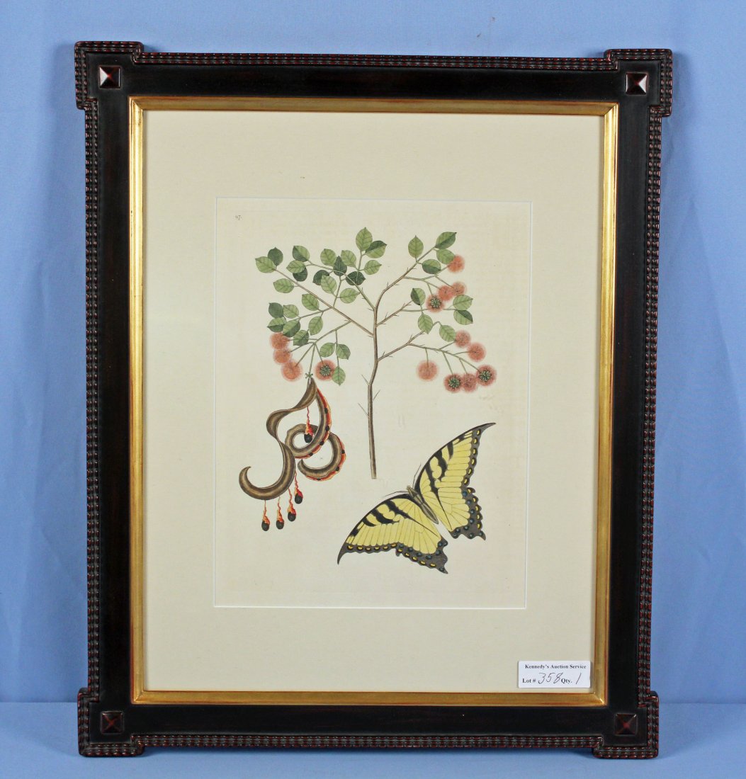 Mark Catesby The Yellow Swallowtail Engraving: Mark Catesby (1683 - 1749) The Yellow Swallowtail Butterfly Engraving. Sheet number #96. Framers label on verso "Black Dog Gallery, Williamsburg, Virginia". Glass label on verso "TruVue Conservation G