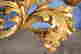 item-50142444=8