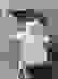 item-50267716=6