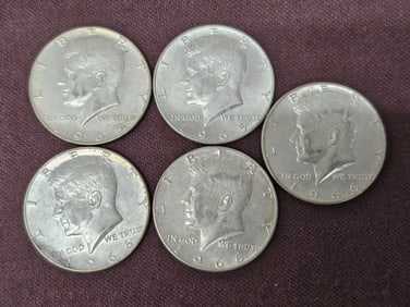 1965 and 1966 Kennedy Half Dollar Lot of 5