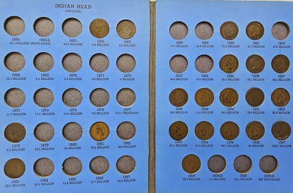 Indian Head Pennies Lot of 22