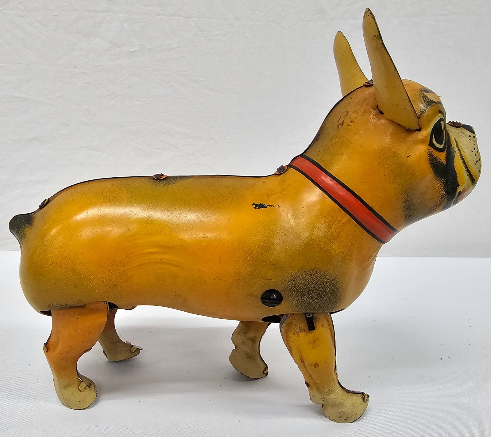1940s German Blomer & Schuler French Bull Dog Toy: 1940s Tin Lithograph German Blomer & Schuler French Bull Dog Key Wind Toy, missing key. Made in US Zone. VG original condition.