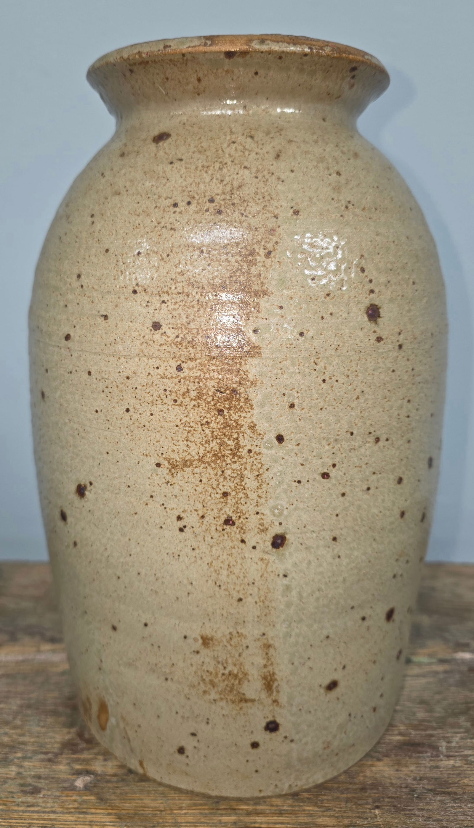 Fine Texas or Alabama Preserve Jar 1850s (1 of 6)