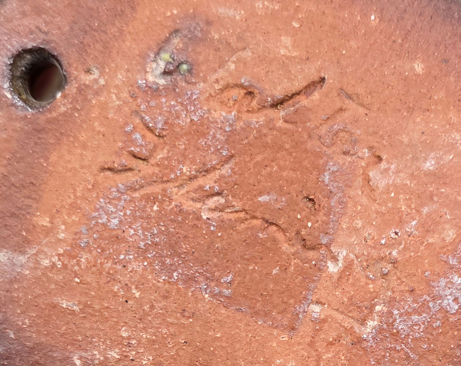 Signed Walter Fleming Wall Pocket - 2