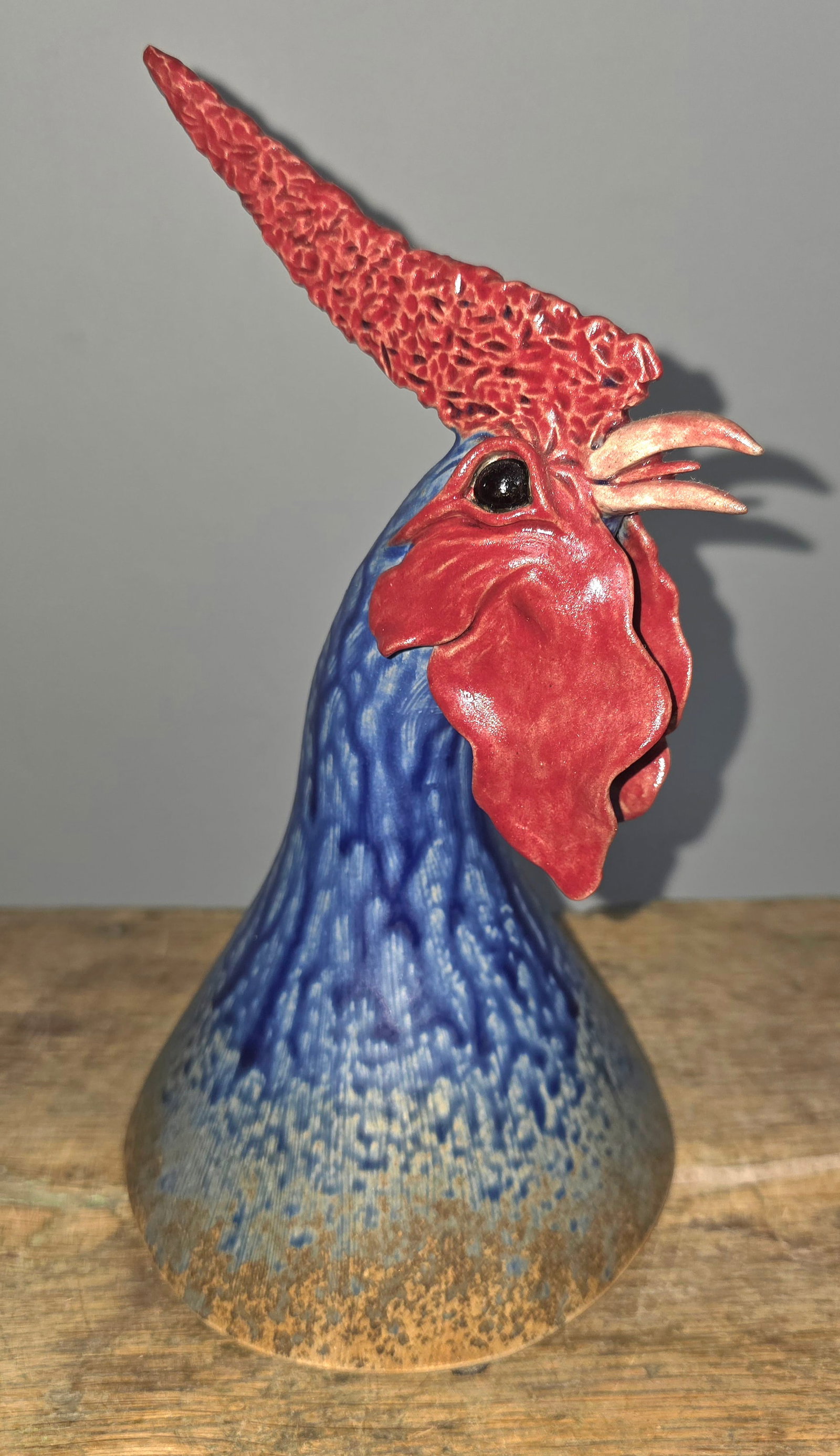 Tammy Leigh Brooks NC 2007 Rooster Head (1 of 6)