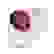 item-59808010=1