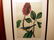 87: Audubon "Bonapartes Flycatching Warbler" Print - 2