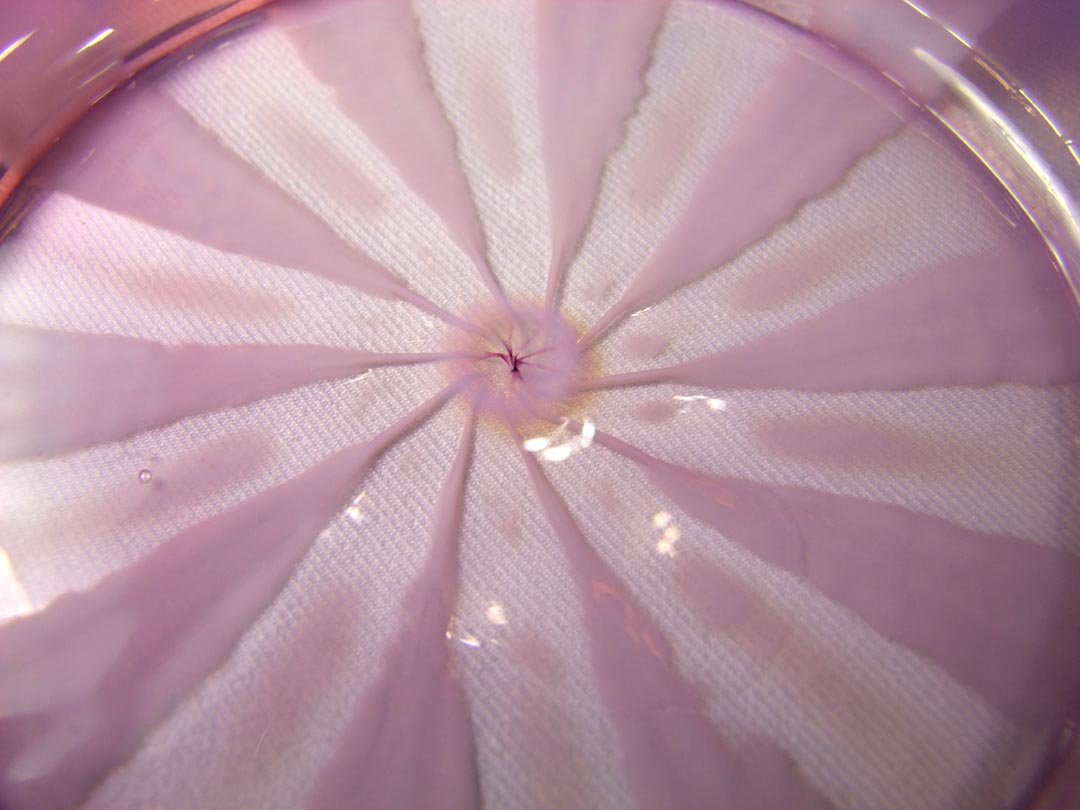 Tiffany Purple Pastel Plate - 4