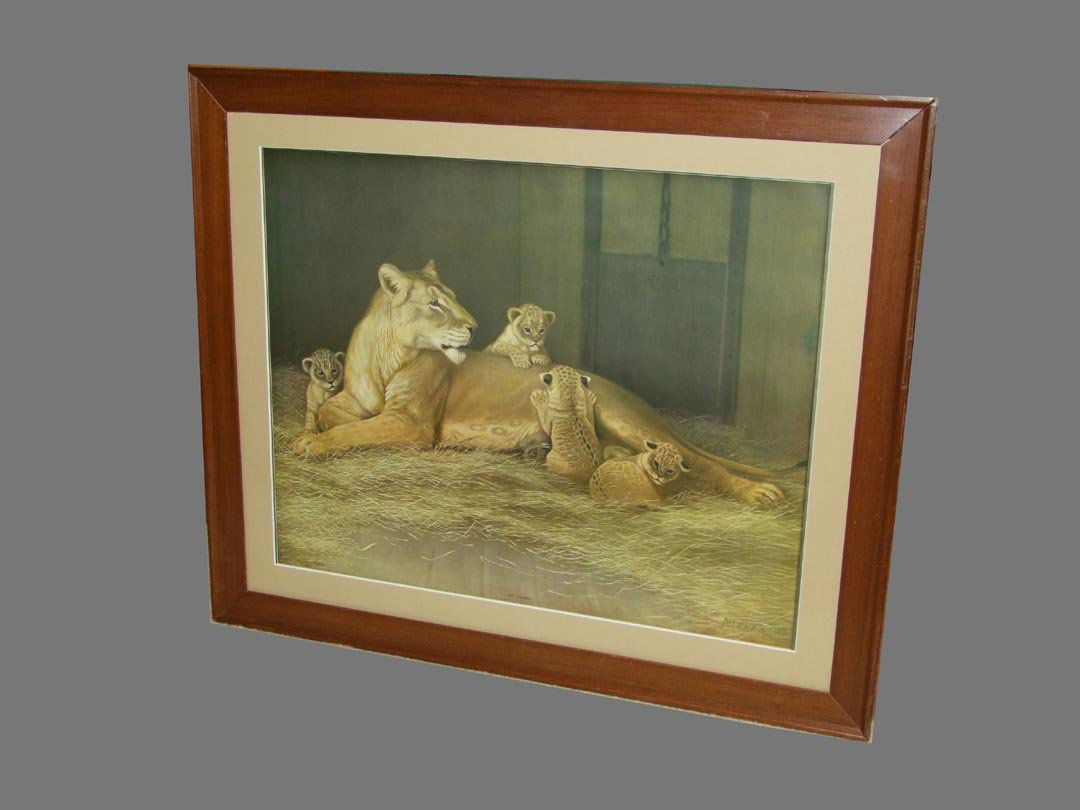 Alexander Pope Chromolithograph: Signed and dated in the plate "Alexander Pope, 1892". The title is "On Guard" showing a lioness with her pride of four. Copyright R.C. Co. N.Y. 1566H is printed in the lower left corner. No tears nor
