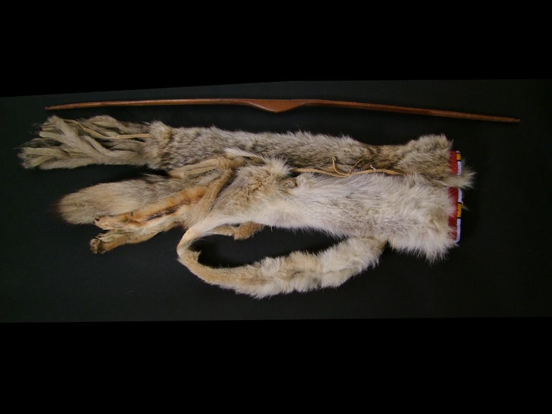 Bow And Arrow Quiver: Beaded bow and arrow quiver made of coyote hide. Bow portion is 28" and arrow portion is 20". Top openings are covered with trade cloth and nicely beaded. Over the shoulder sling is also hide. Include