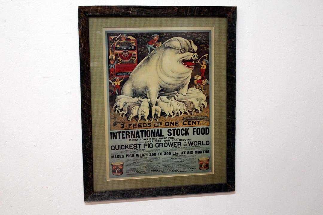 "International Stock Food" Poster: Advertising poster claiming increased pig production showing 6 Palmer Cox Brownies feeding a sow which in turn is feeding her 16 piglets. Nicely framed with barn wood showing the original fold marks a