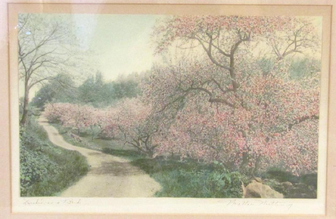 Wallace Nutting - Large Mounted Color Print (1 of 5)