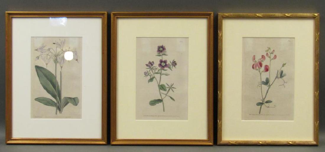 J. Sowerby - 3 Hand Colored Prints (1 of 10)