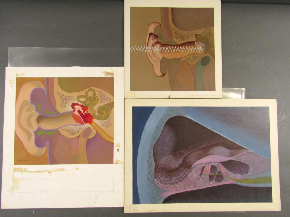 David Klein - 3 Illustrations (1 of 8)