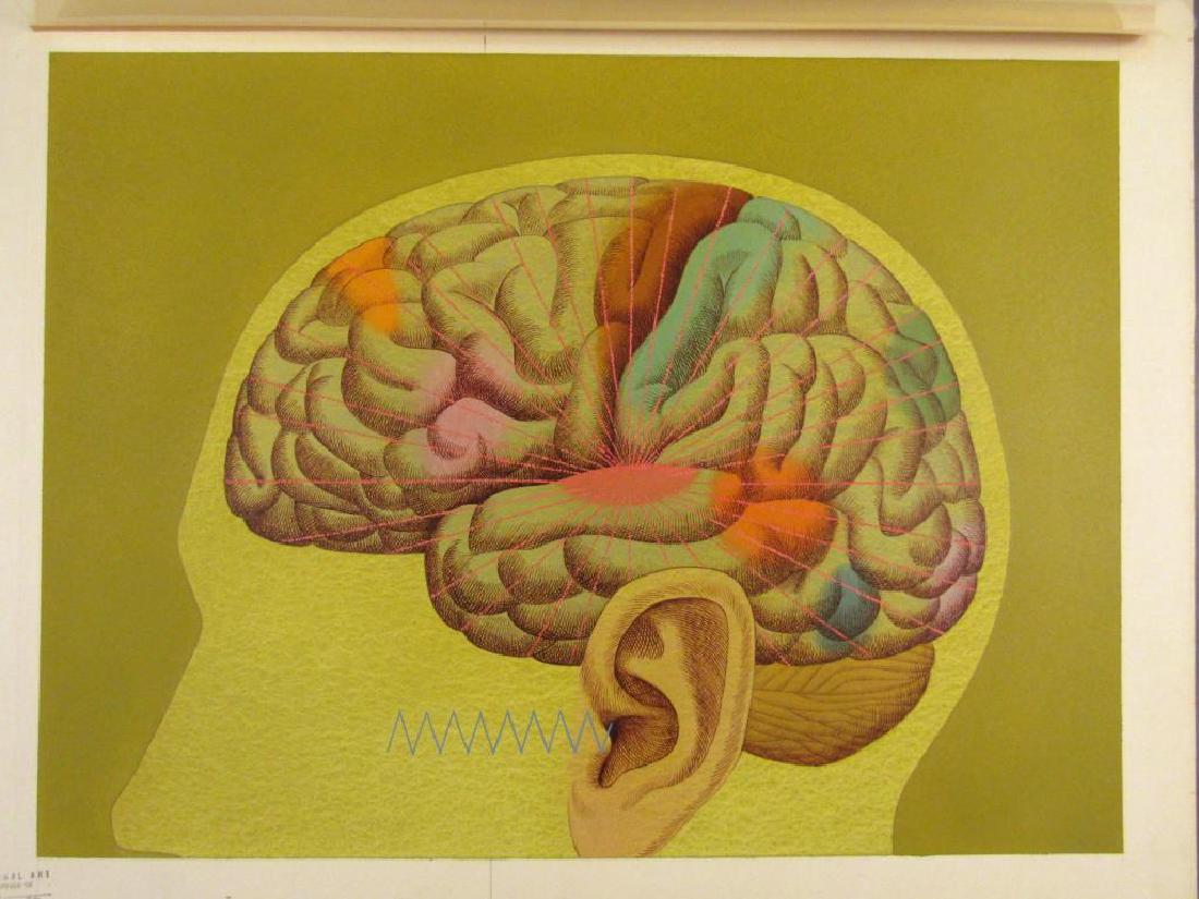 David Klein - Gouache and Pen on Board (1 of 4)