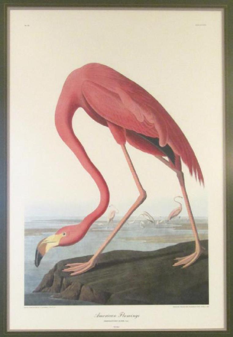 After Audubon Print (1 of 6)