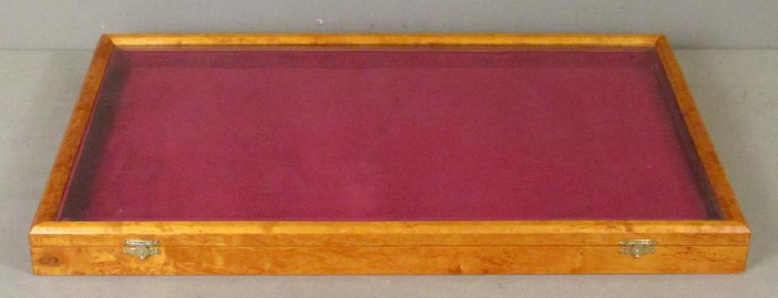 Beveled Glass Display / Specimen Case (1 of 4)