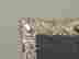 item-59293568=3