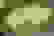 item-59848883=5