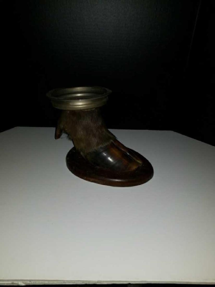 Hoof tray: mount