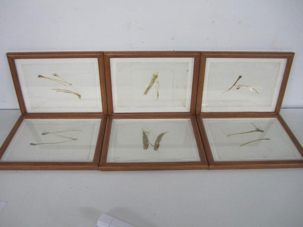 Sandra Blow (1925 - 2005) R. A. - Set of 6: Set of 6 Straw sketches on paper - Prov. Royal Academy of Arts 7.5 X 11 (11 X 14)