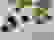 item-10521317=2