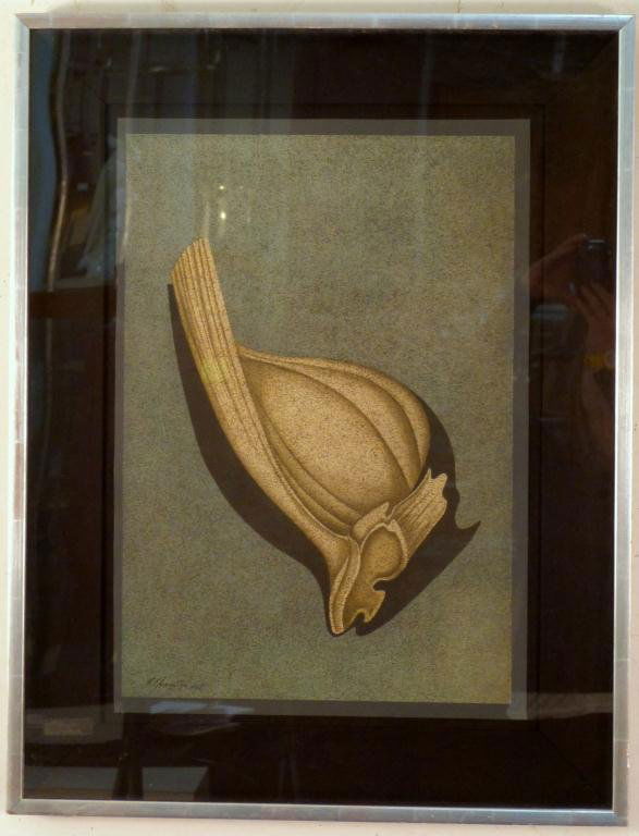 Mihail Chemiakin (Russian, b. 1943) Water Color &: Garlic- Ink and Watercolor on paper - 24 X 17" (31" X 24 1/2") - Signature lower left, dated 1981 (CHEM0366 en verso). A Corporate Long Island Collection. Buyer from sale of June 15, forfeited this sa