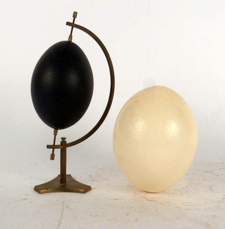 2 Egg Shells: Ostrich (6" H, with hole in bottom) and black egg on brass caliper stand (10 1/2" H, also with hole).