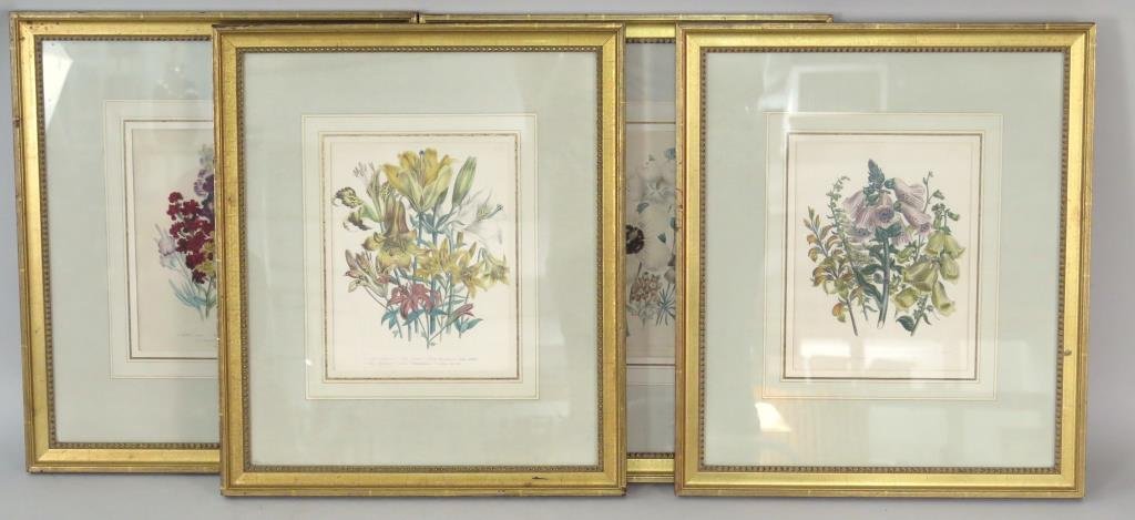 4 Hand Colored Botanical Lithographs (1 of 5)