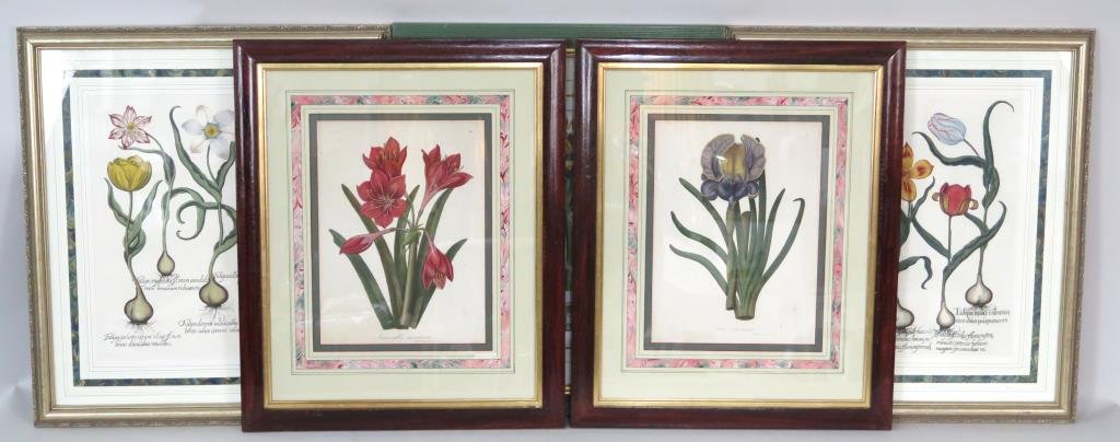 5 Botanical Prints (1 of 3)