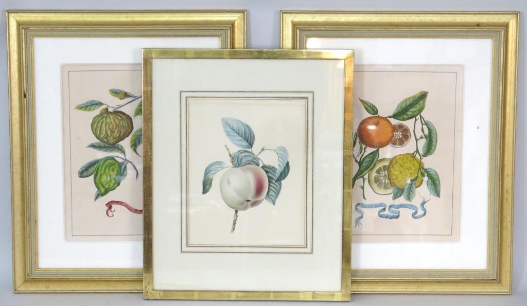 3 Botanical Prints (1 of 4)