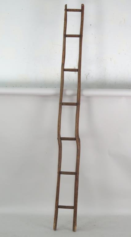 Antique French Chicken Coop Ladder (1 of 4)