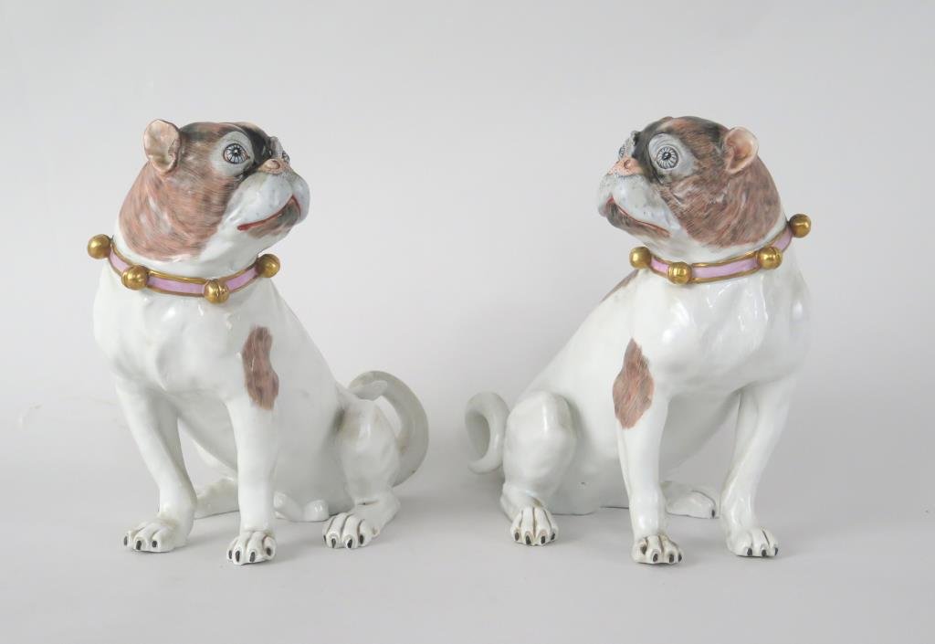 Pair Carl Thieme Saxony Dresden Porcelain Pug Dogs: Male and female affronted. 9 H. No chips, cracks, or hairlines."